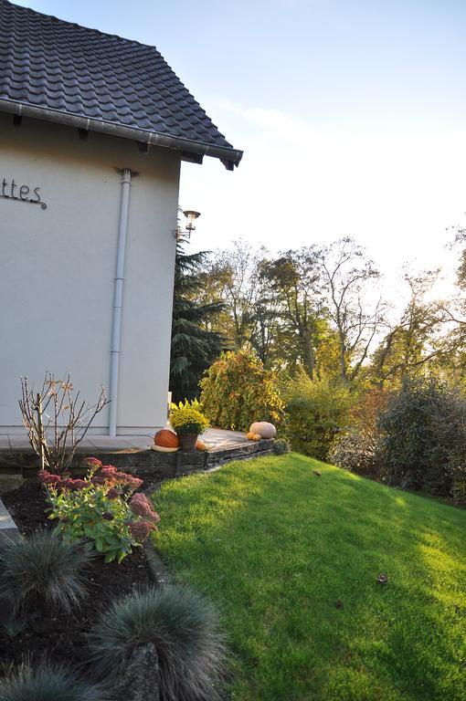 Chambres d'hôtes Les Chalinettes Fegersheim Extérieur photo